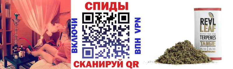 Бутират BDO 33%  Купить где  Будённовск 