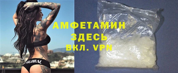 индика Козельск