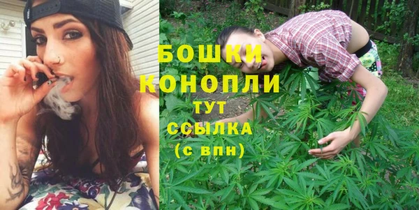 индика Козельск