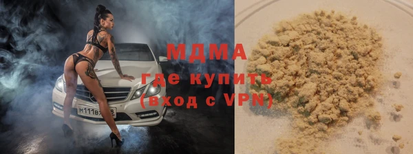 индика Козельск