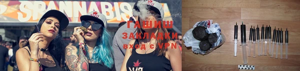 индика Козельск