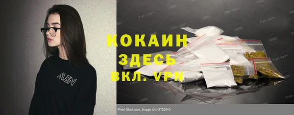 индика Козельск