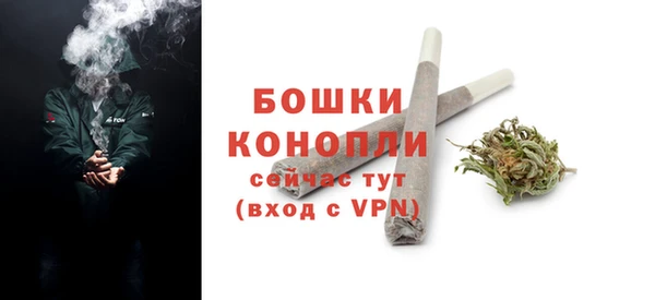 мдпв Кинешма