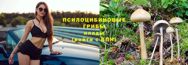 ешки Кодинск