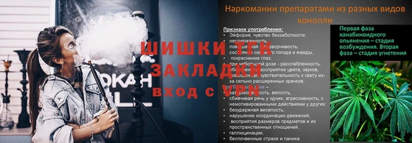 мдпв Кинешма