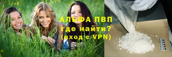 индика Козельск