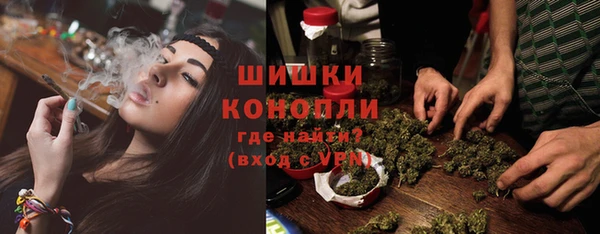 индика Козельск