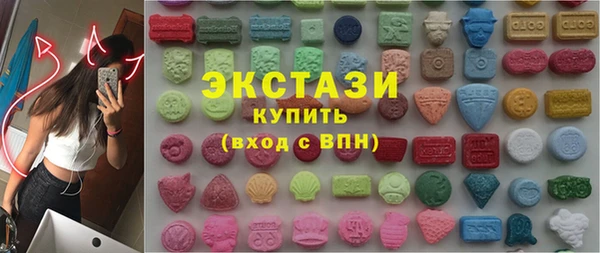 индика Козельск