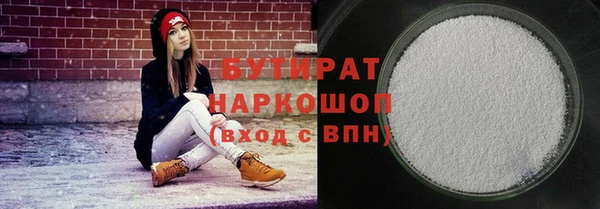 индика Козельск